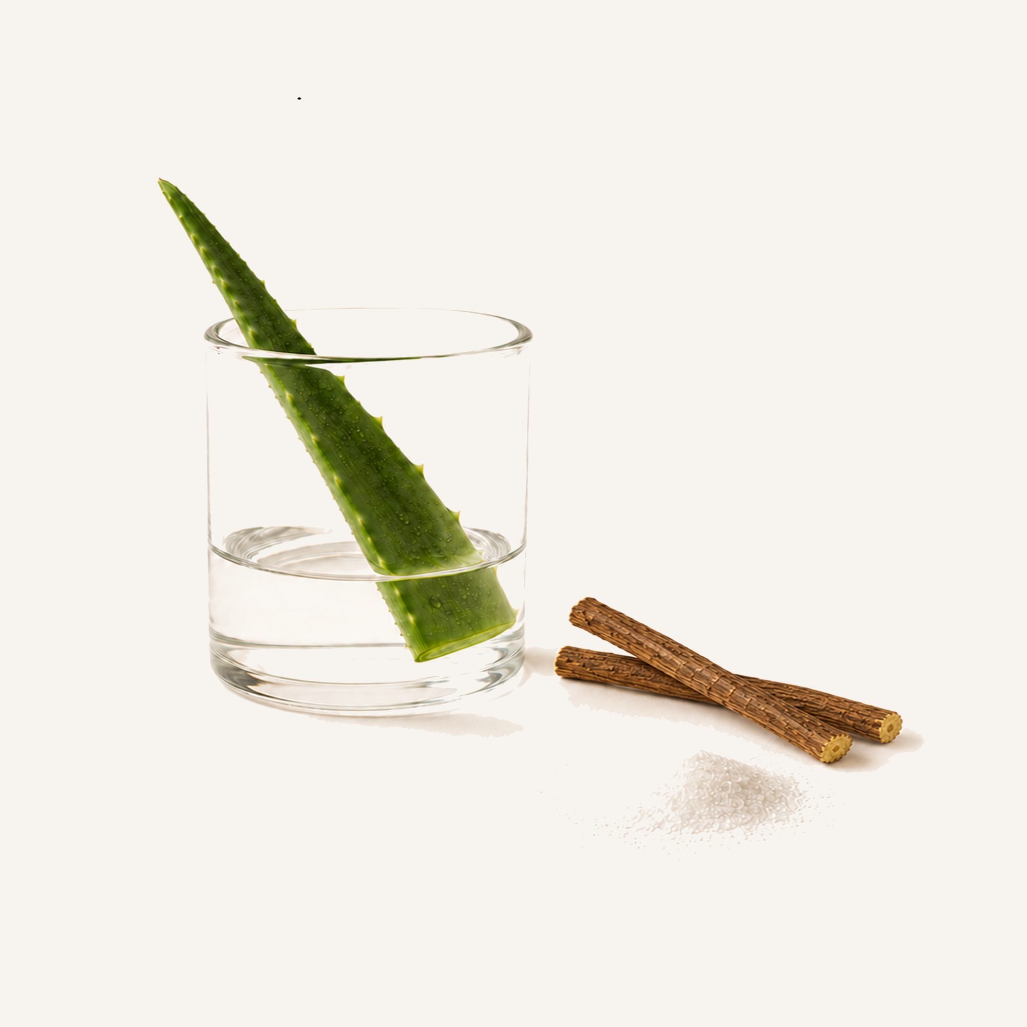 Aloe vera leaf, glass of water, cinnamon sticks, and salt on a white background