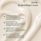 Replenishing Cream