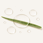 Aloe vera leaf under a magnifying glass with water droplets on a white background